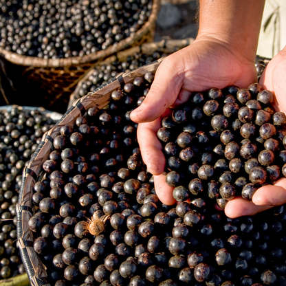 Organic Açaí Berry Sorbet - Coming Soon!